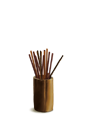 ֿǿ ̼ ǿ